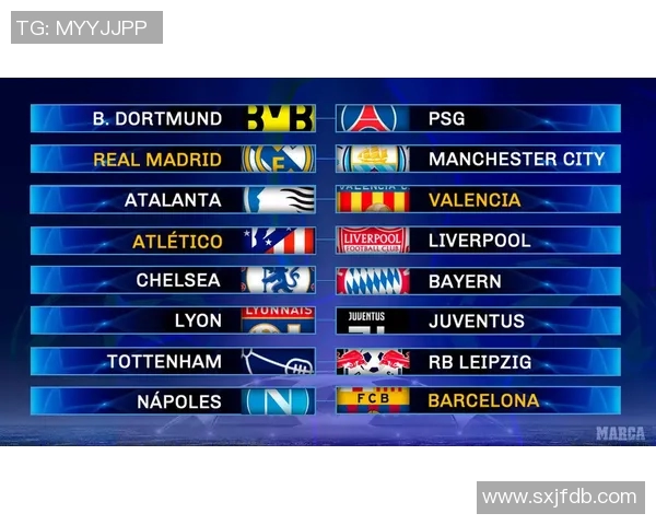 非洲球星引领足坛实力对决前十强足球队实力解析